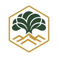 El Paso Tree Service